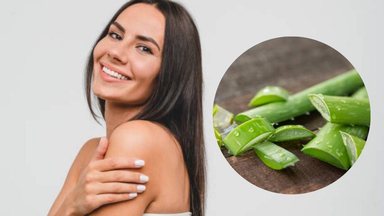 অ্যালোভেরা জেলে এই উপাদান মিশিয়ে মাখলে গরমেও ত্বক থাকবে কুল