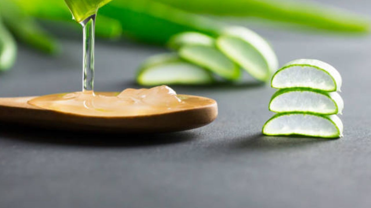 ভিটামিন-এ, সি, ই, খনিজ, অ্যামিনো অ্যাসিড এবং অ্যান্টিঅক্সিডেন্ট সমৃদ্ধ অ্যালোভেরা। ফলে ব্রণ, ব়্যাশ দূর করা থেকে ত্বকের ক্ষতিগ্রস্ত কোষ পুনরুজ্জীবিত করতে কার্যকরী অ্যালোভেরা জেল