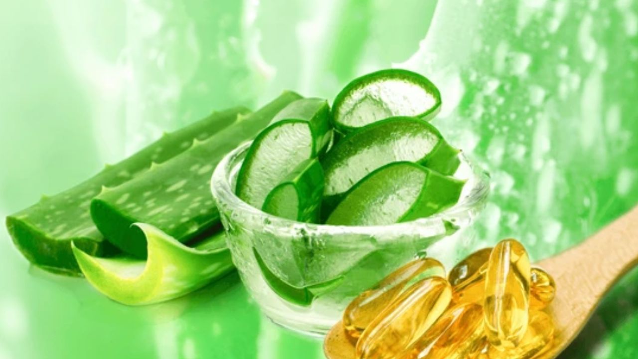 কেবল ত্বক উজ্জ্বল করা নয়, ক্ষত নিরাময়, প্রদাহ উপশমেও কার্যকরী অ্যালোভেরা বা অ্যালোভেরা জেল। গালে-কপালে চোট লেগে দাগ হয়ে গেলে সেই দাগ তোলা থেকে দ্রুত ক্ষত নিরাময়ে সাহায্য করে অ্যালোভেরা