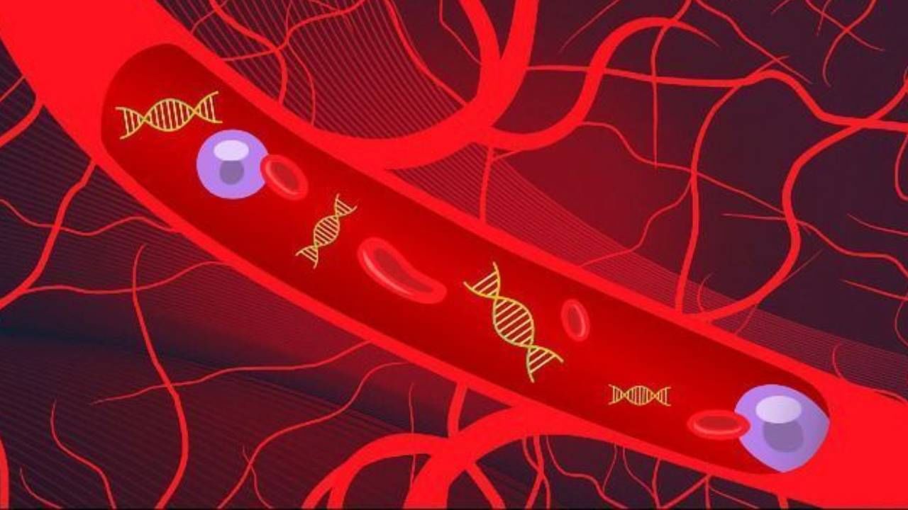 রক্তপরীক্ষা যা ফ্রি-সেল ডিএনএ ব্লাড টেস্ট (cfDNA)-এর মাধ্যমে কোলন ক্যানসার চিহ্নিত করা সম্ভব হয়েছে বলে দাবি করা হয়েছে সেই রিপোর্টে।