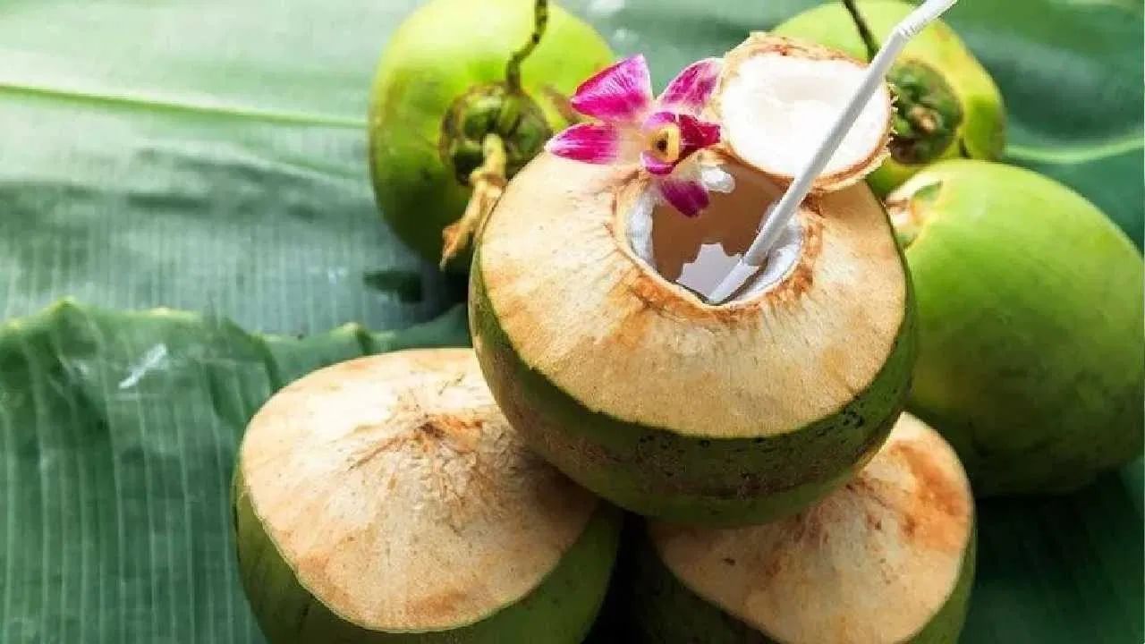 coconut water 5
