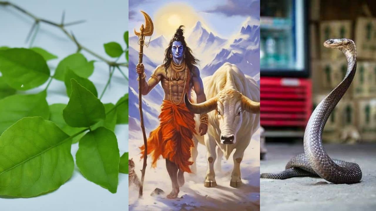 Mahashivratri 2024: মহাশিবরাত্রির আগে এমন স্বপ্ন দেখলে ভাগ্যের তালা খুলে যেতে পারে আপনার!