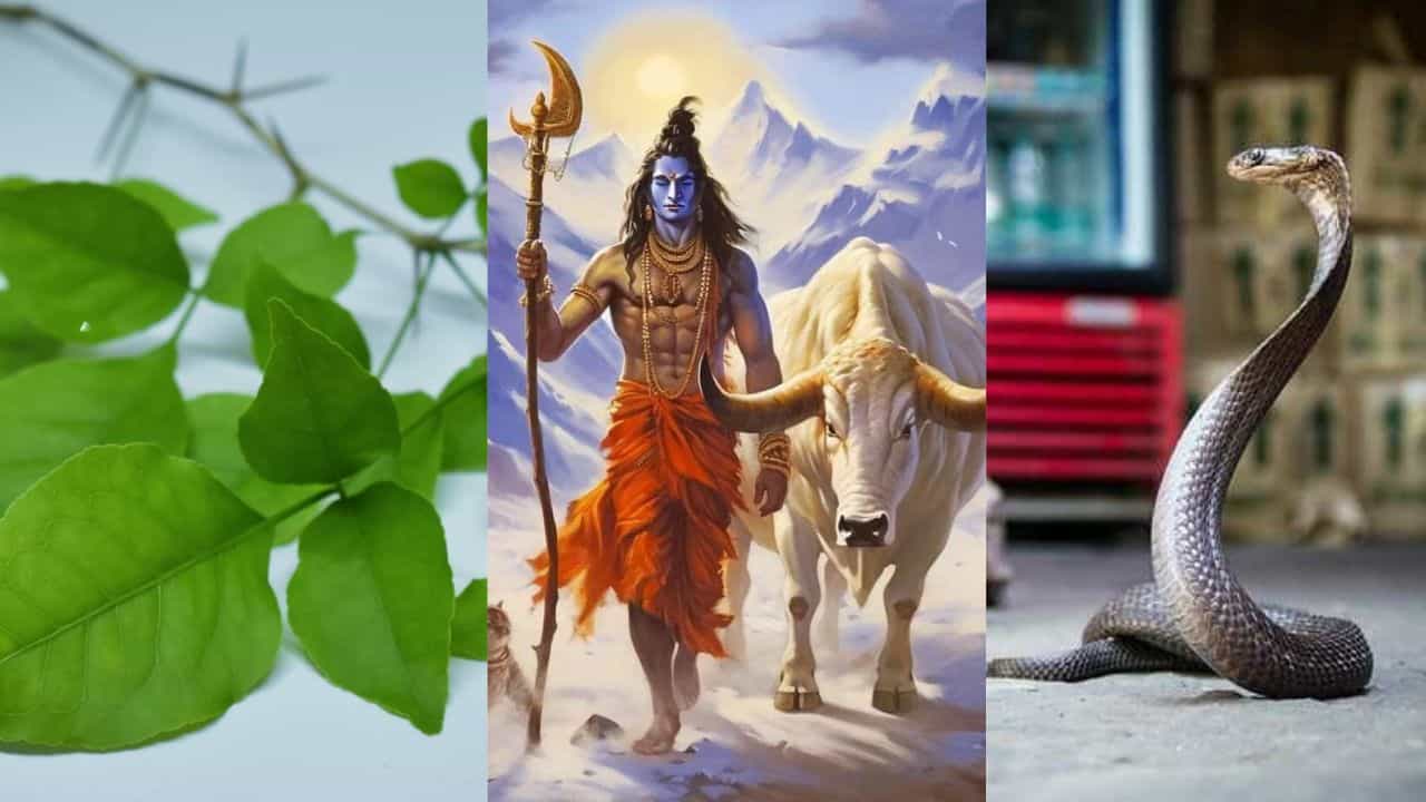 Mahashivratri 2024: মহাশিবরাত্রির আগে এমন স্বপ্ন দেখলে ভাগ্যের তালা খুলে যেতে পারে আপনার! Mahashivratri 2024: মহাশিবরাত্রির আগে এমন স্বপ্ন দেখলে ভাগ্যের তালা খুলে যেতে পারে আপনার!