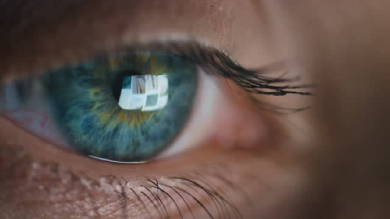 চোখ নিয়ে চিন্তিত? এই ৫ পুষ্টি পাতে থাকলে স্ক্রিন টাইম নিয়ে ভয় পাওয়ার দরকার নেই