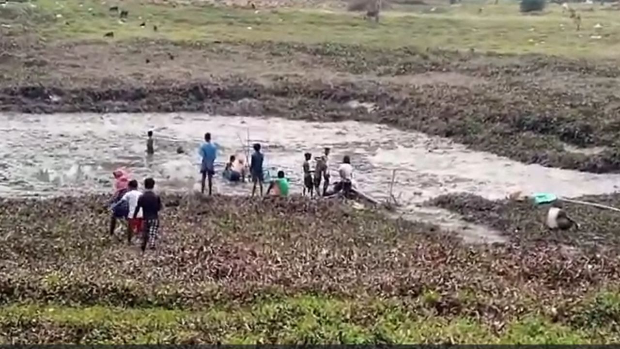 Burdwan Pond: ব্রিটিশ আমলের পুকুরের জল মরল প্রথমবার, কী খুঁজতে ঝাঁপাল ভাতারের বাসিন্দারা?