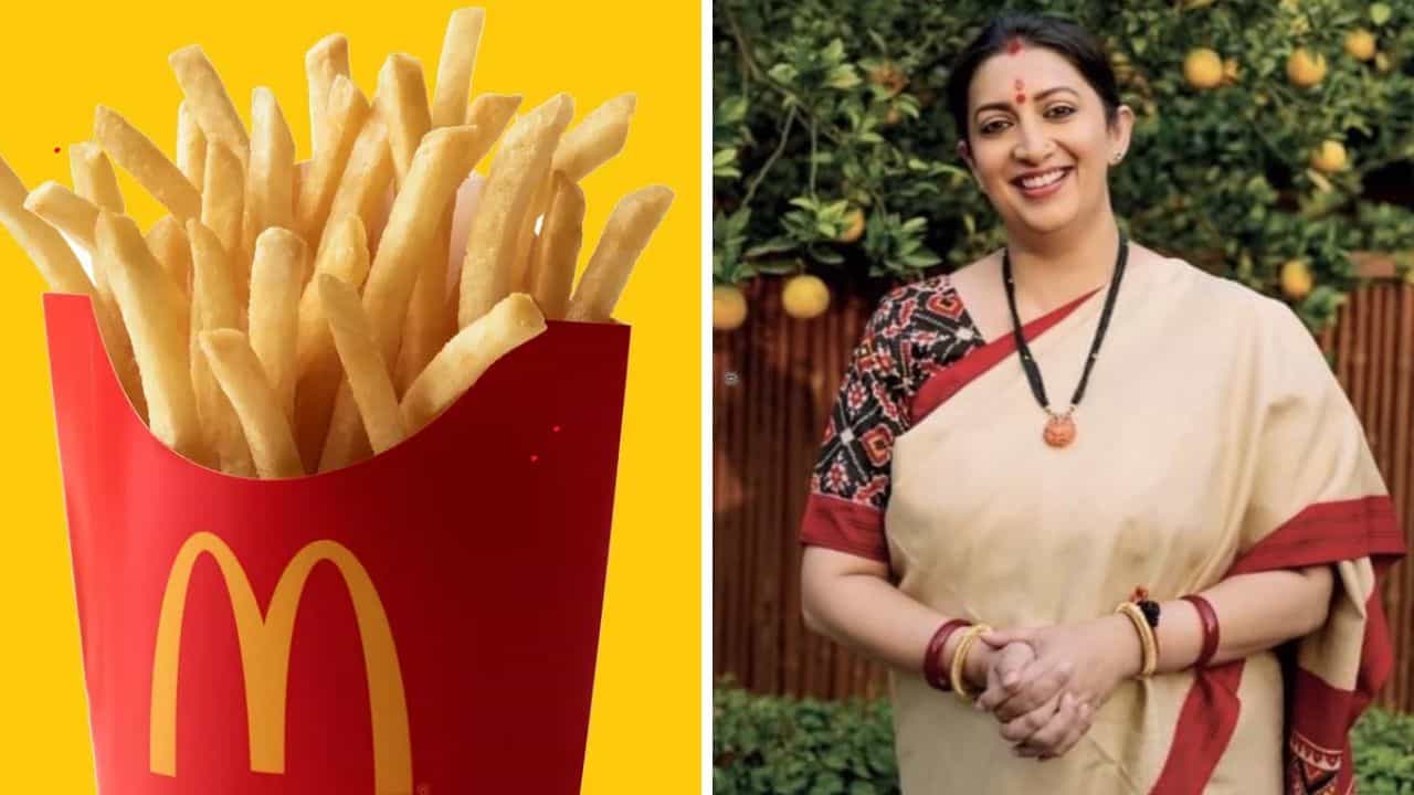 Smriti Irani: ১৮০০ টাকায় বাসন ধোয়ার কাজ করতেন স্মৃতি ইরানি, কীভাবে খুলল ভাগ্য?