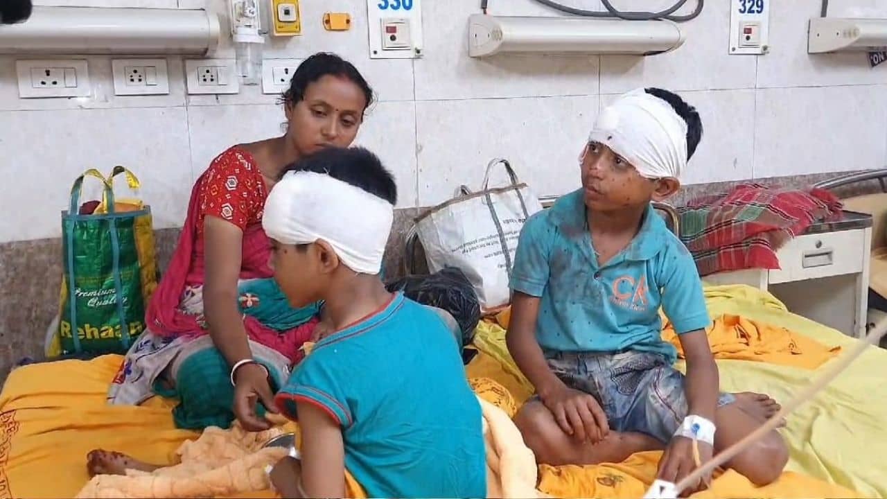 Blast in South Dinajpur: দোলের আগেই ভয়াবহ ঘটনা, খেলতে গিয়ে বিস্ফোরণে আহত তিন শিশু