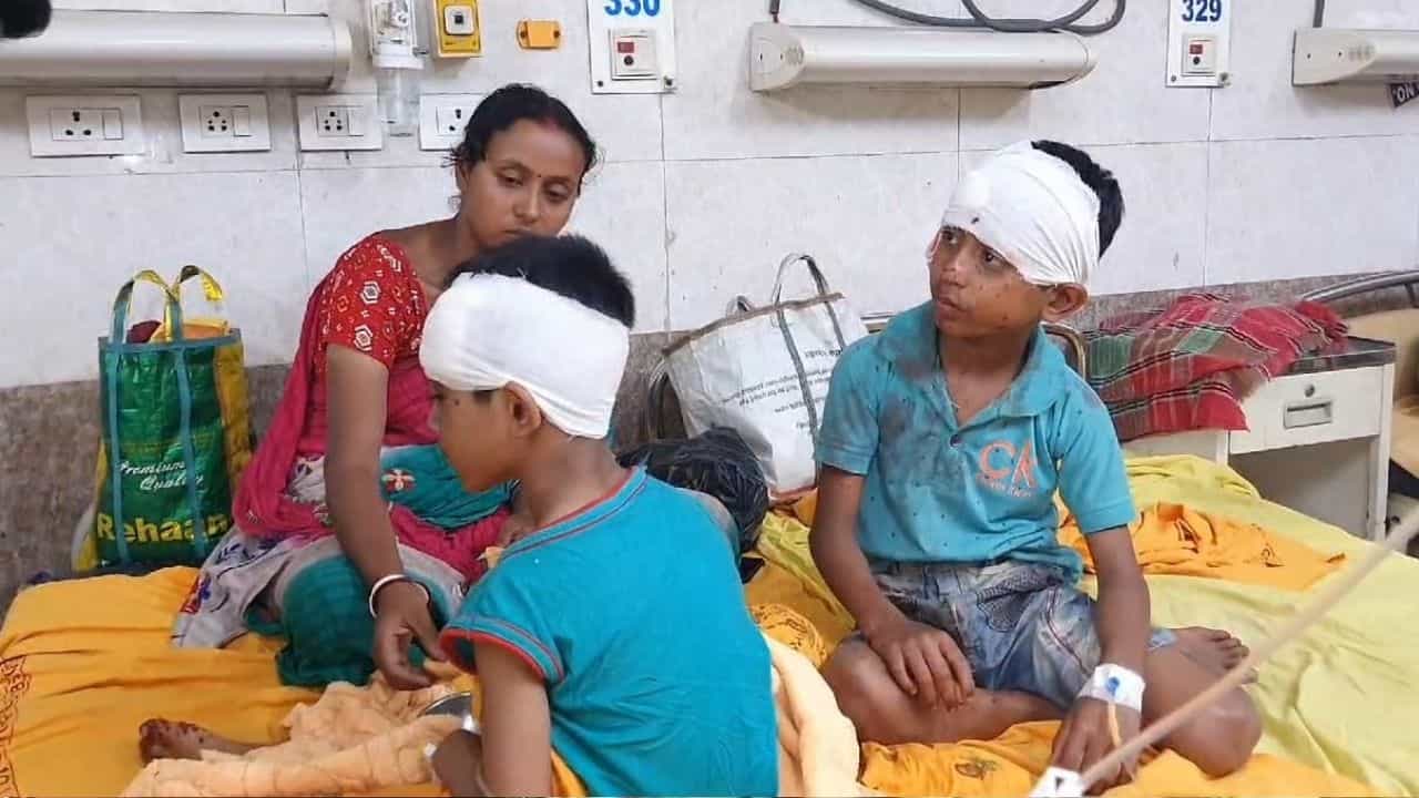 Blast in South Dinajpur: দোলের আগেই ভয়াবহ ঘটনা, খেলতে গিয়ে বিস্ফোরণে আহত তিন শিশু Blast in South Dinajpur: দোলের আগেই ভয়াবহ ঘটনা, খেলতে গিয়ে বিস্ফোরণে আহত তিন শিশু