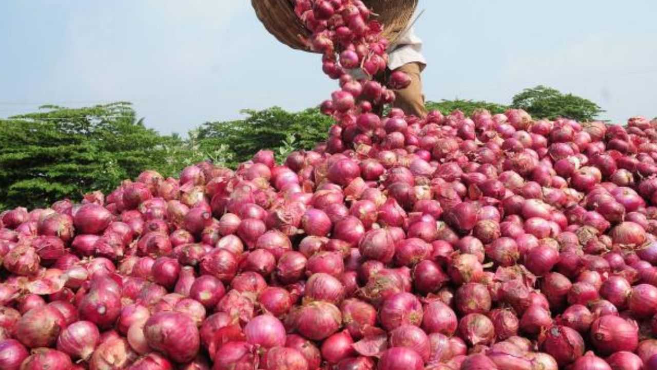 Onion Price: চোখে জল ঝরাচ্ছে পেঁয়াজ! দাম কমাতে বিশেষ উদ্য়োগ সরকারের