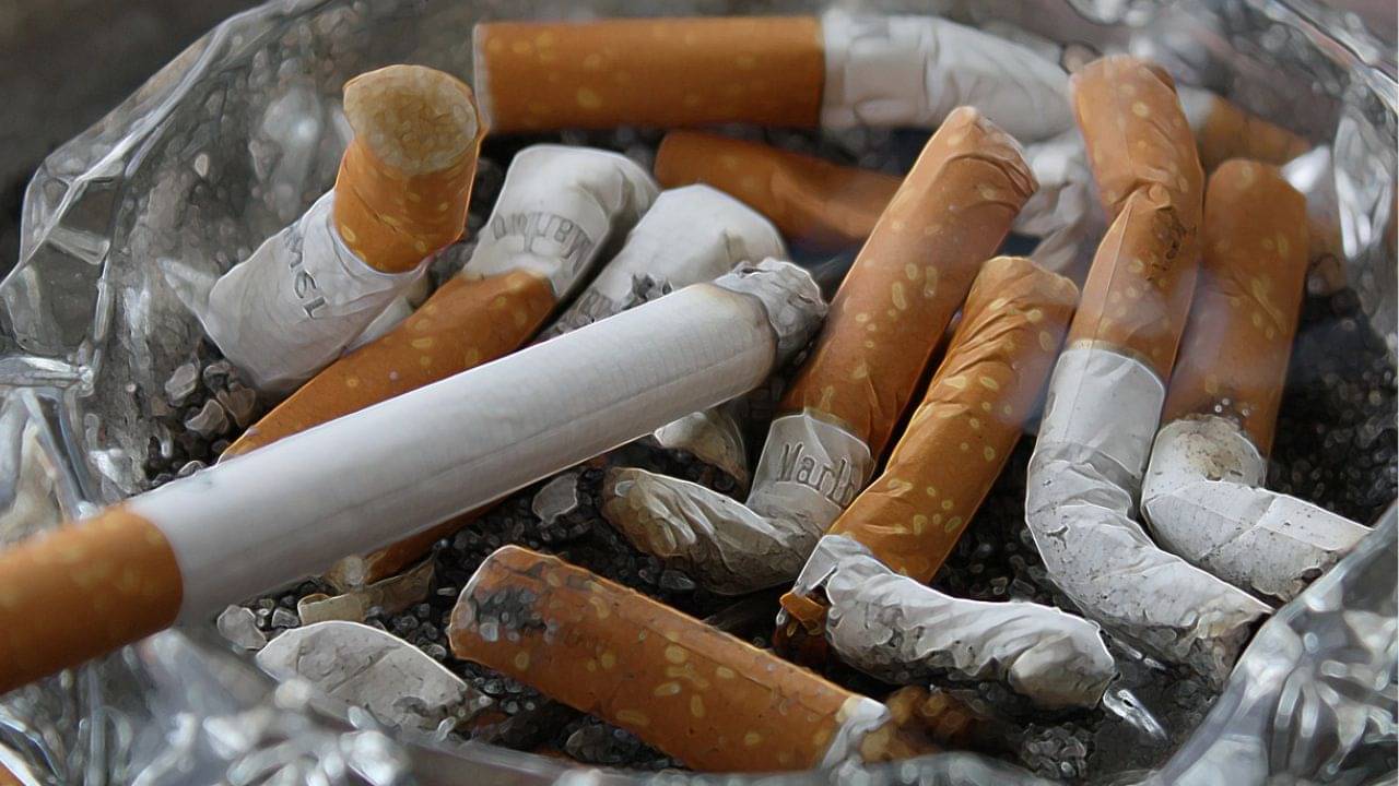 Investment News: শুধু সিগারেটটা ছেড়ে দিন, কত কোটি টাকার মালিক হবেন জানেন? কোথায় করবেন বিনিয়োগ?