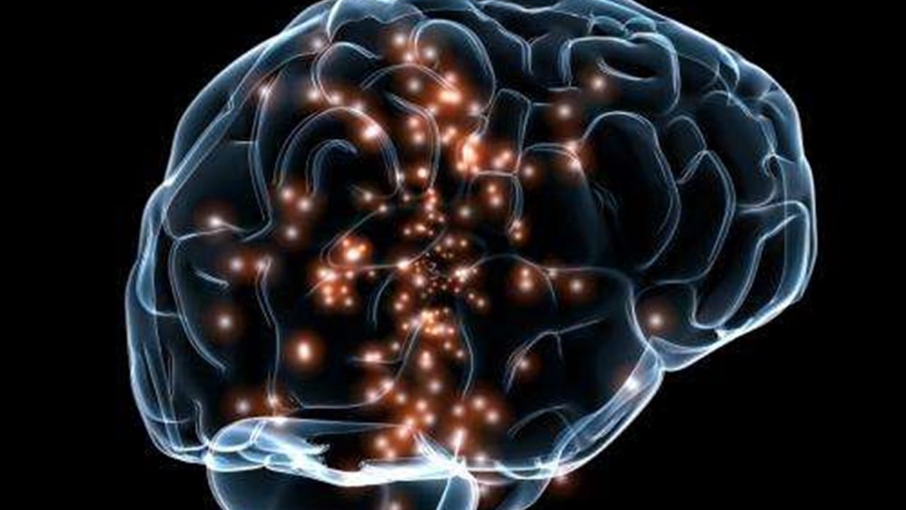 তাই মস্তিষ্ক এবং স্মৃতিশক্তির জন্য ওমেগা ৩ ফ্যাটি অ্যাসিড সমৃদ্ধ খাবার খাওয়া খুব গুরুত্বপূর্ণ। কিন্তু আদতেই কি আপনার রোজকারের ডায়েটে এসব খাবার রেখেছেন?