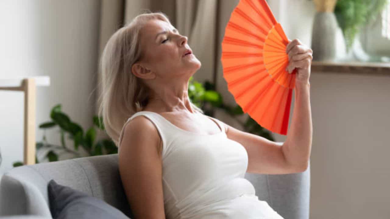 Menopause Symptoms: হঠাৎ করেই হাঁফফাঁস করছেন গরমে? মেনোপজ়ের লক্ষণ হতে পারে Menopause Symptoms: হঠাৎ করেই হাঁফফাঁস করছেন গরমে? মেনোপজ়ের লক্ষণ হতে পারে