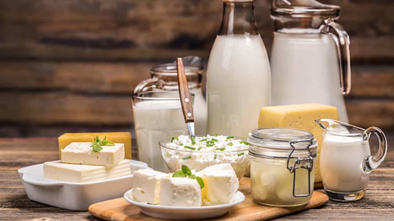 Milk Product Benefits: ঘি থেকে চিজ়—ডায়েটে দুগ্ধজাত পণ্য রাখা কতটা দরকার? Milk Product Benefits: ঘি থেকে চিজ়—ডায়েটে দুগ্ধজাত পণ্য রাখা কতটা দরকার?