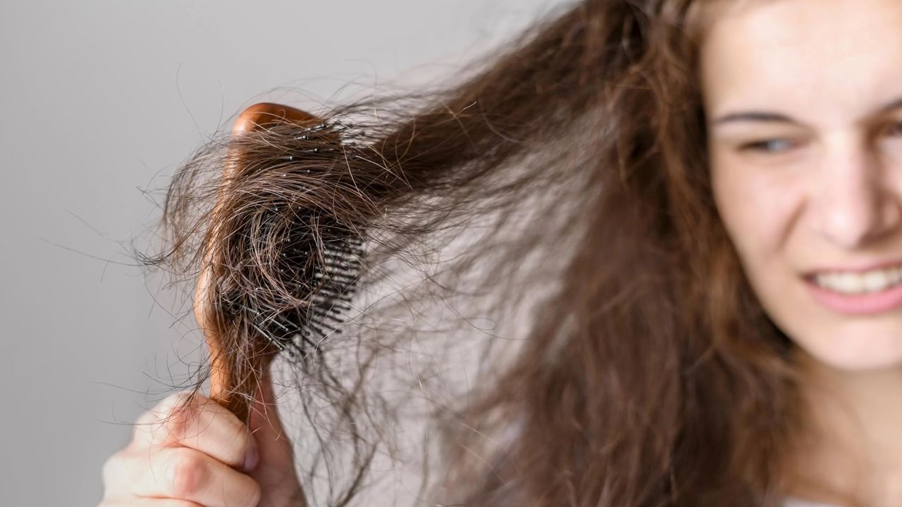 তাহলে উপায় কী? এভাবে চলতে থাকলে কয়েকদিন পরেই যে টাক পড়ে যাবে, তা বলাই বাহুল্য়। ফলে চুল পড়ার সমস্যা আপনি বন্ধুত্ব পাতিয়ে নিতে পারেন সজনে পাতার সঙ্গে। 