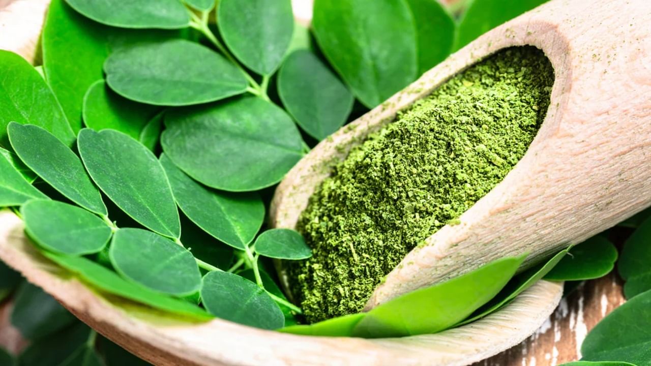 অনেকেই জানেন না, সজনে গাছের পাতা চুলের জন্য খুবই উপকারী। একে 'মিরাকল ট্রি'ও বলা হয়। ভিটামিন এবং খনিজ সমৃদ্ধ এই পাতাই আপনার চুল পড়া আটকাতে সাহায্য করবে। ,