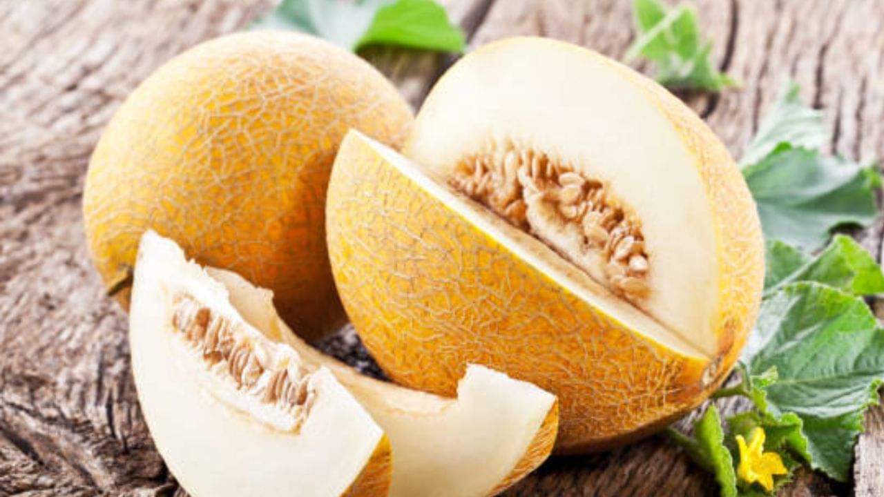 Weight Loss: দেহের ওজন কমাতে কি কার্যকর ফুটি বীজ? এর উপকারিতা জানলে অবাক হবেন