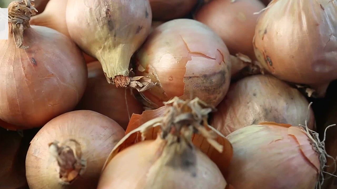 পেঁয়ার সংরক্ষণ করার আগে একটি শুকনো কাপড় দিয়ে ভাল করে মুছে নিন। তারপরে কোনও প্লাস্টিকের ব্যাগে পেঁয়াজ না রেখে ঝুড়িতে রাখুন। 