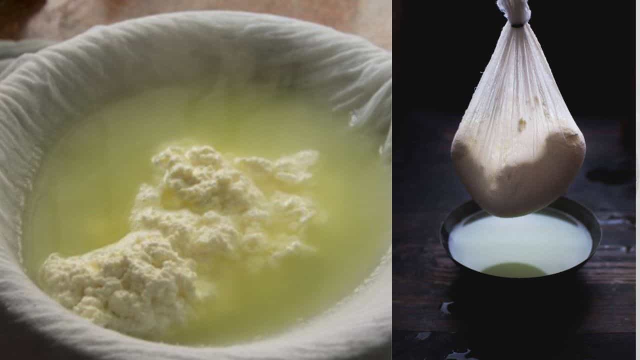 Paneer Water: সকালে উঠে বাদাম-হেলদি স্মুদি নয়, রোজ খান ছানার জল! গলবে চর্বি, ঝকঝকে হবে ত্বক Paneer Water: সকালে উঠে বাদাম-হেলদি স্মুদি নয়, রোজ খান ছানার জল! গলবে চর্বি, ঝকঝকে হবে ত্বক