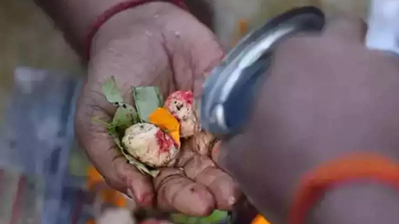 এই সময়ের মধ্যে অনেক কাজ করাকে নিষিদ্ধ বলে মনে করা হয়। যেমন, শুভ কাজে যাওয়া বা উপস্থিত থাকা, নতুন জিনিস কেনা, নতুন জামাকাপড় পরা, রান্নাঘরে রান্না করা ইত্যাদি নিষিদ্ধ। শ্রাদ্ধের সময় মুণ্ডন করাটাও একটি রীতি।