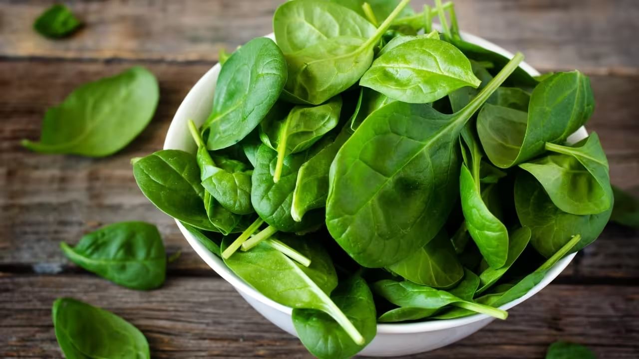 ডায়াবেটিস রোগীরা কিছু না জেনে বুঝেই পালং শাক খাচ্ছেন? এই 5 তথ্য যে না  জানলেই নয়... - Bengali News | Eat spinach To keep your body away from  diseases, know all benefits |