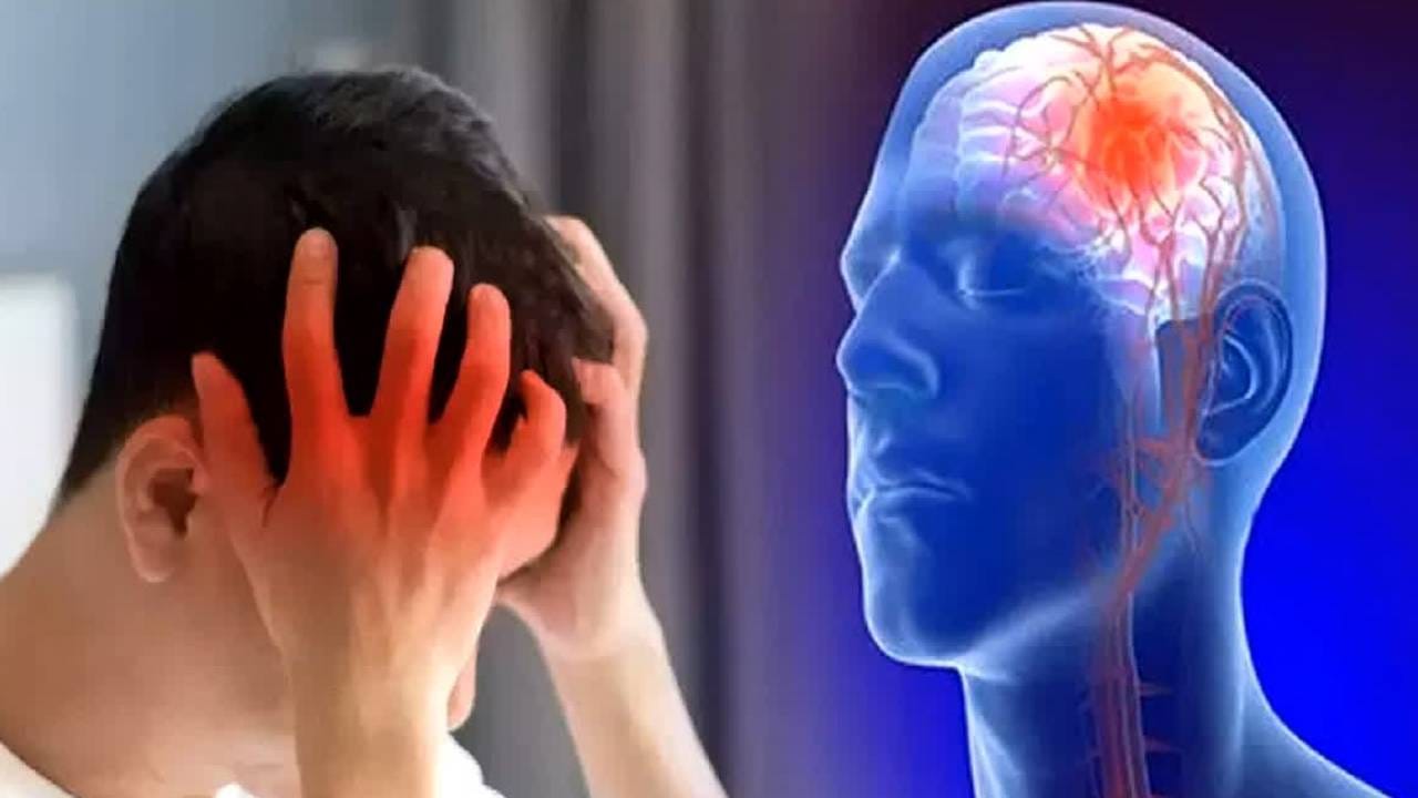 স্বাস্থ্যকর জীবনযাপন করলে এই রোগ যে হয় না এমন নয়। কিন্তু যাঁদের নিম্নলিখিত অভ্যাস রয়েছে, তাঁদের ক্ষেত্রে ব্রেন স্ট্রোকের সম্ভাবনা বেশি। 