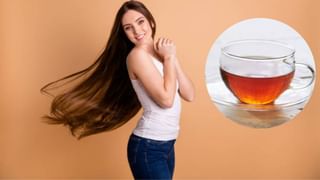 Tea for Hair: পাকা চুল থেকে খুশকি—এক কাপ চায়ে দূর হবে চুলের একশোটা সমস্যা