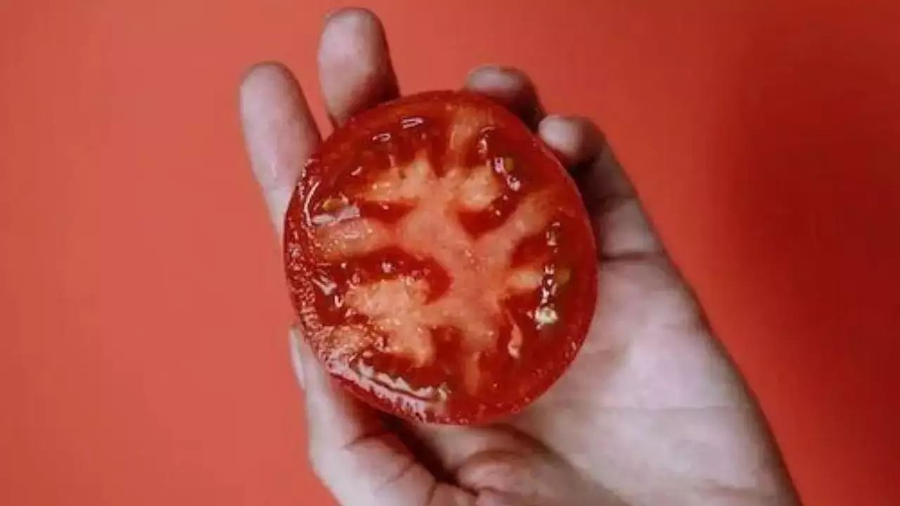 tomato 6