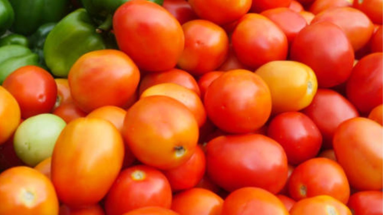 Tomato Benefits: রোজ এই ৪ উপায়ে টমেটো খেলে সর্দি-কাশিতে আর ভুগতে হবে না, কমবে হার্ট অ্যাটাকের সম্ভাবনাও