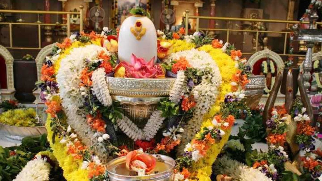 মুক্তোর তৈরি শিবলিঙ্গ: বিবাহিত মহিলারা যদি মুক্তার তৈরি শিবলিঙ্গের পুজো করে থাকেন, তাহলে তাদের জীবন খুব সুন্দর ভাবে এগিয়ে যায়। জীবন হয় সুখের। সাফল্য ও উন্নতি পেয়ে থাকেন পদে পদে, যে কোনও কাজে।