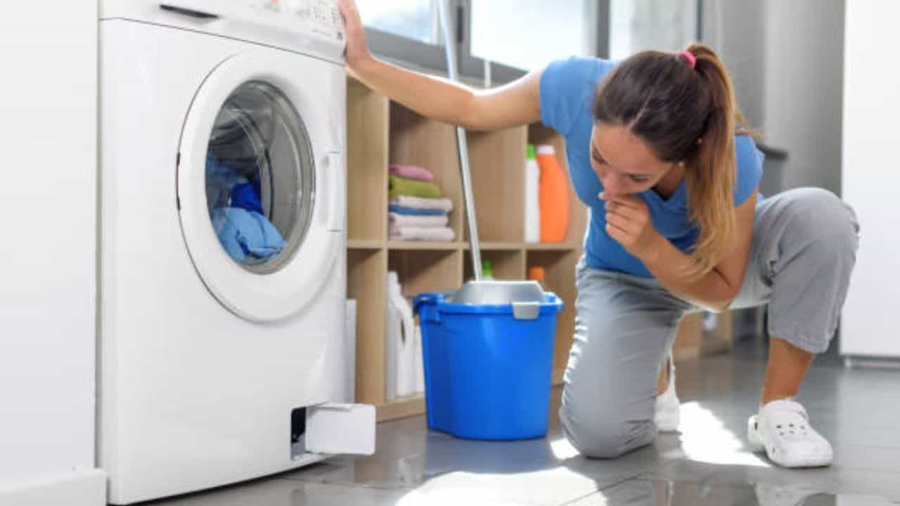Washing Machine Clean Tips: নিজেই কীভাবে ওয়াশিং মেশিন পরিষ্কার করবেন? Washing Machine Clean Tips: নিজেই কীভাবে ওয়াশিং মেশিন পরিষ্কার করবেন?