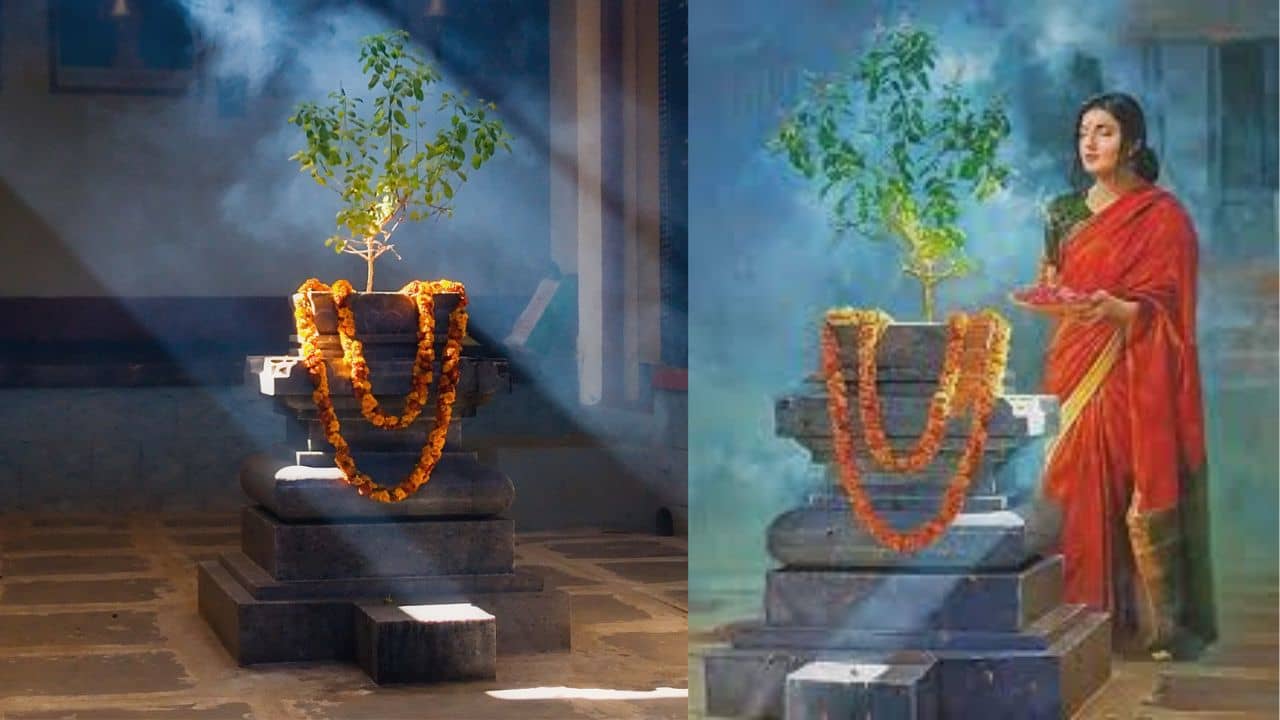 Tulsi Astro Tips: তুলসী গাছে কারা জল নিবেদন করতে পারবেন? জানাটা জরুরি