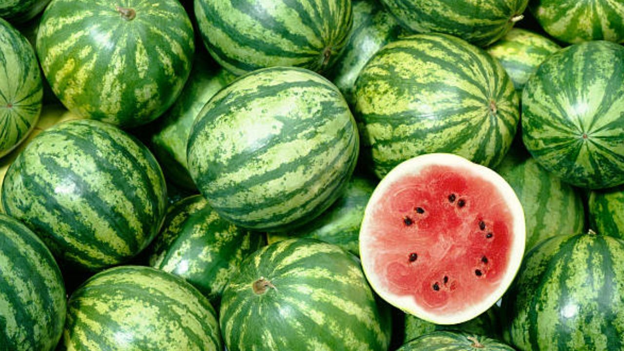 watermelon1