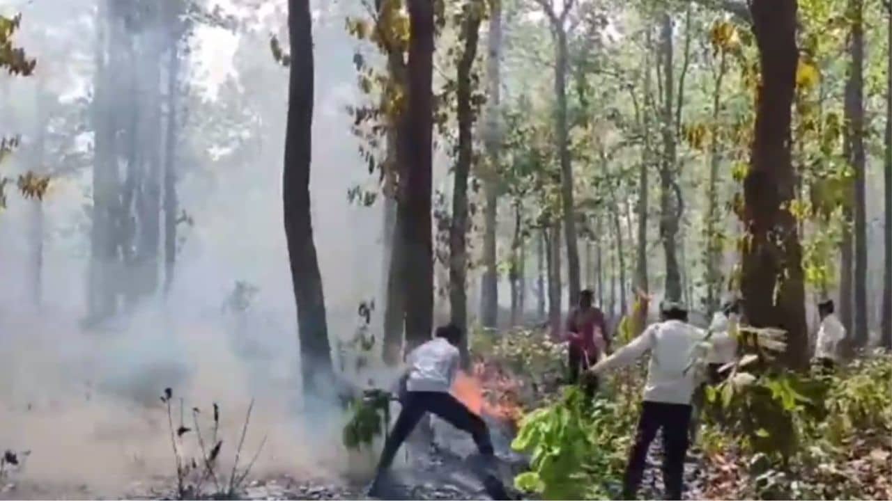 Bankura: জঙ্গলে আগুন লেগেছে রে আগুন...,হাঁপাতে-হাঁপাতে এল ছোট্ট সৌম্য, রুখল বড় ক্ষতি