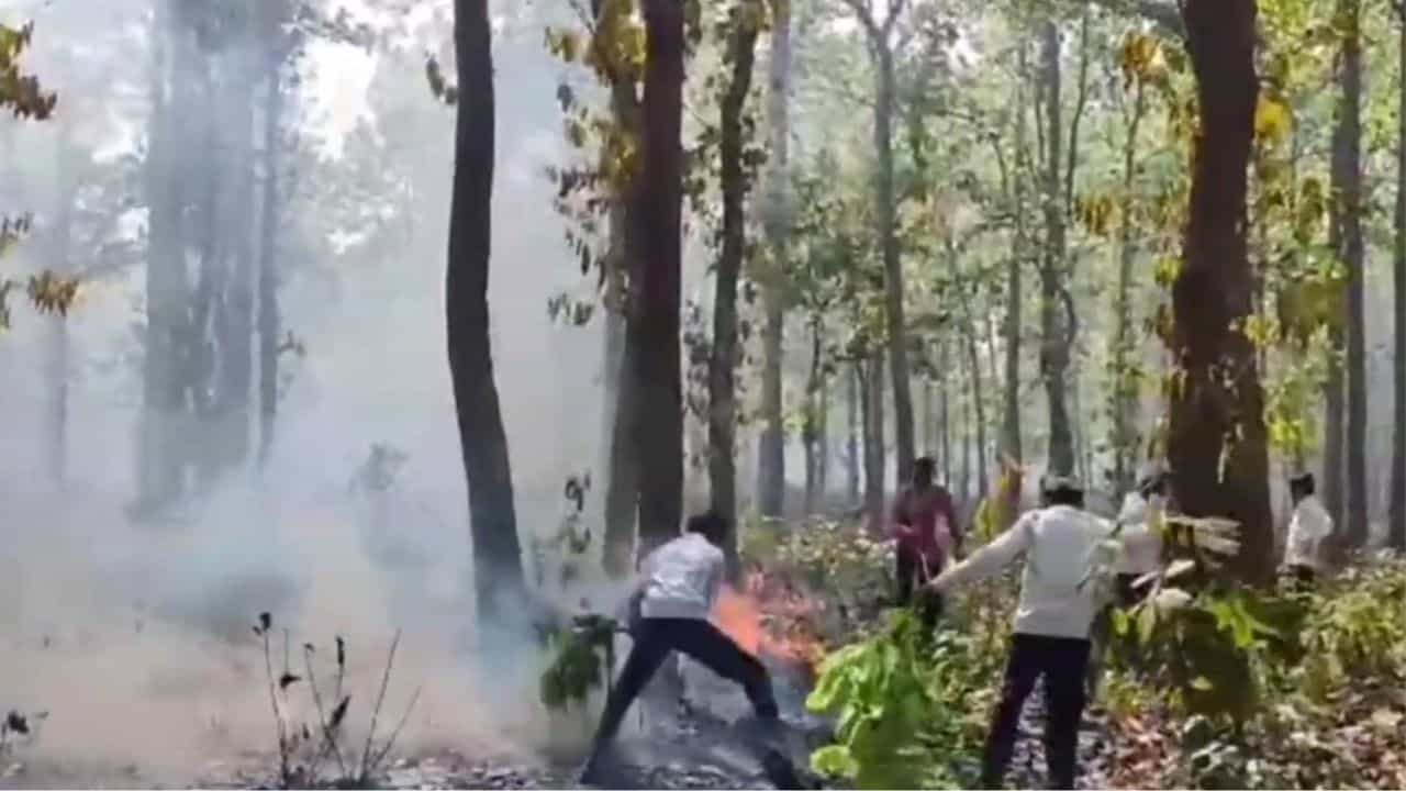 Bankura: 'জঙ্গলে আগুন লেগেছে রে আগুন...',হাঁপাতে-হাঁপাতে এল ছোট্ট সৌম্য, রুখল বড় ক্ষতি