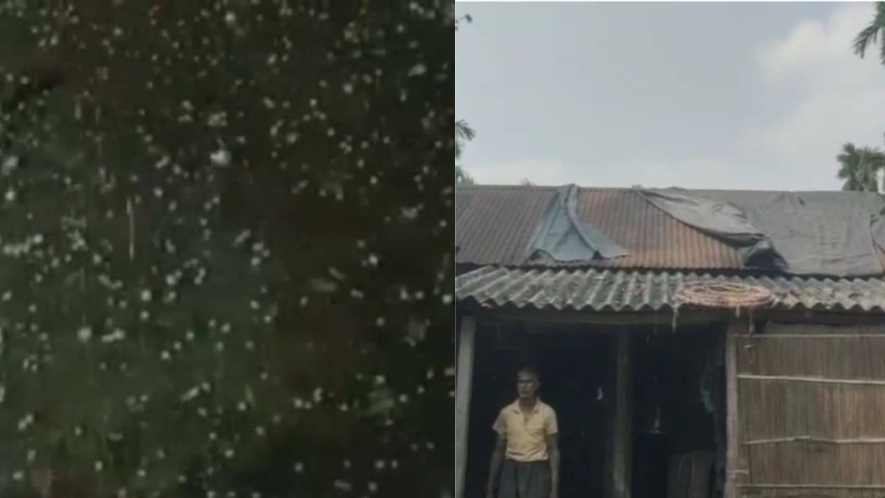 Banarhat: তাপপ্রবাহে ধুঁকছে দক্ষিণবঙ্গ, শিলাবৃষ্টি তখন বাধ সাধছে উত্তরবঙ্গে