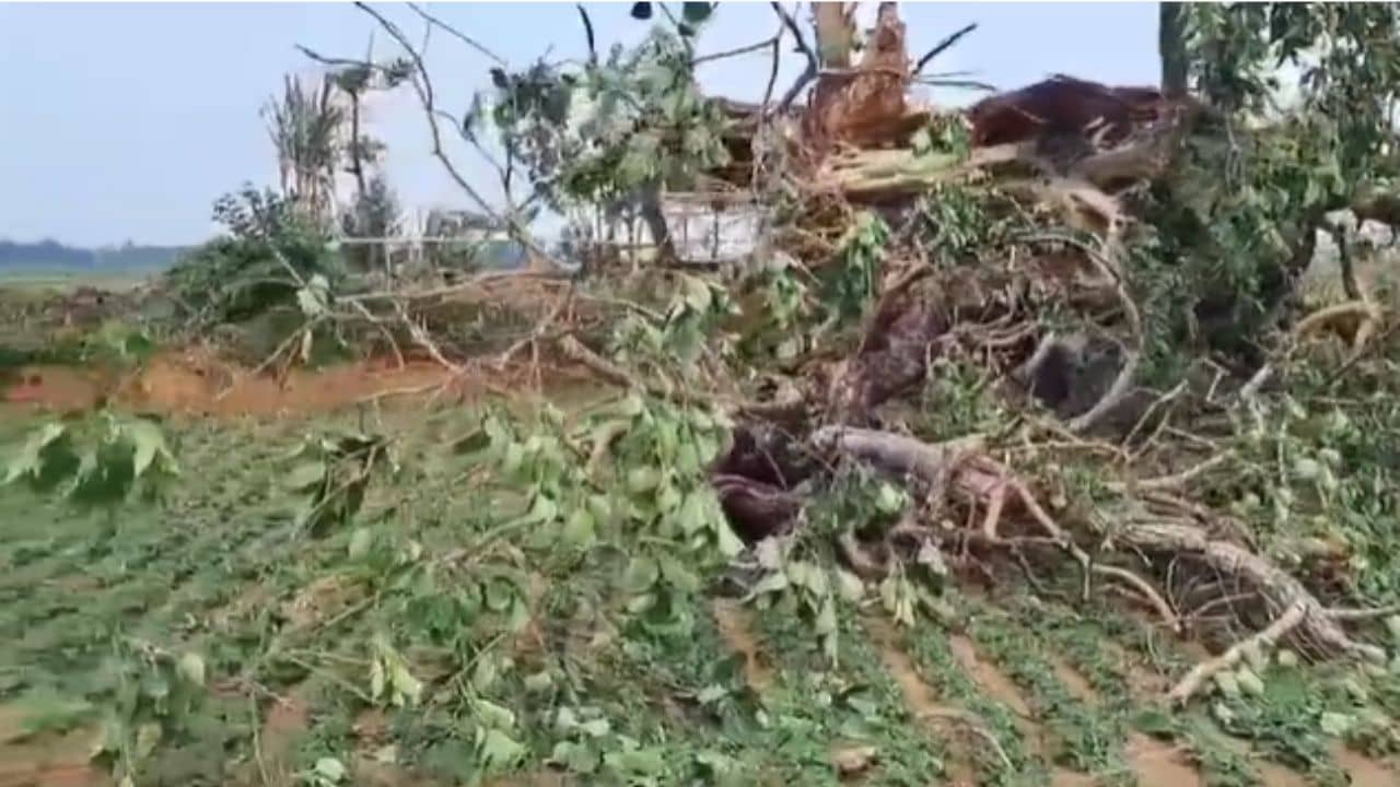 Death By Electrocution: দাবদাহের মাঝে স্বস্তির ক্ষণিকের বৃষ্টিতে বঙ্গে প্রাণ গেল ৪ জনের, গোটা সপ্তাহেই বড় বদলের পূর্বাভাস