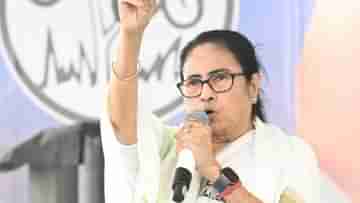 Mamata Banerjee: কেউ ভোট দেওয়া আটকাতে এলে, কীভাবে বোকা বানাবেন! ধোঁকা দেওয়ার স্পেশাল টিপস মমতার