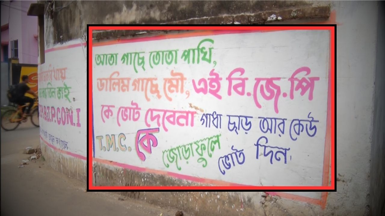 TMC: বিরোধী ভোটারদের কি ‘গাধার’ সঙ্গে তুলনা? এ কেমন দেওয়াল লিখন তৃণমূলের