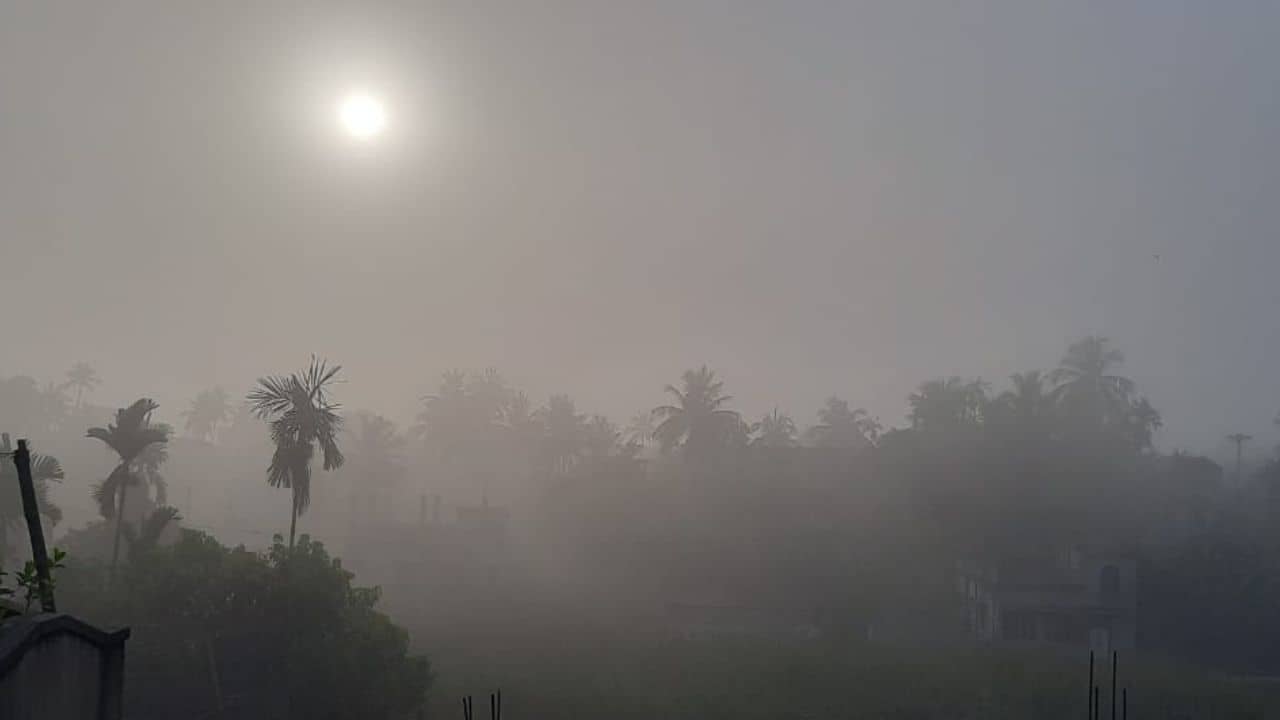 Weather: চারিদিক কুয়াশা, বৈশাখে এক টুকরো শীতের ভোর, নেপথ্যে কার কারসাজি জানেন?