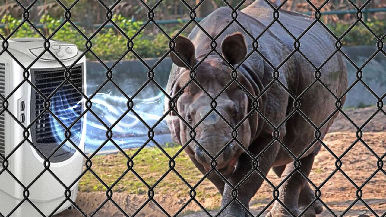 Alipore Zoo: চিড়িয়াখানায় এয়ার কুলারের হাওয়া খাবে পশুপাখিরা, ডায়েটে জুড়ল টকদই