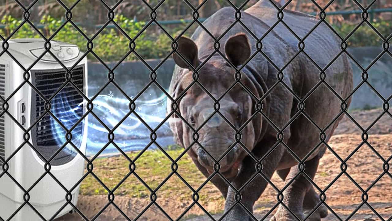 Alipore Zoo: চিড়িয়াখানায় এয়ার কুলারের হাওয়া খাবে পশুপাখিরা, ডায়েটে জুড়ল টকদই Alipore Zoo: চিড়িয়াখানায় এয়ার কুলারের হাওয়া খাবে পশুপাখিরা, ডায়েটে জুড়ল টকদই