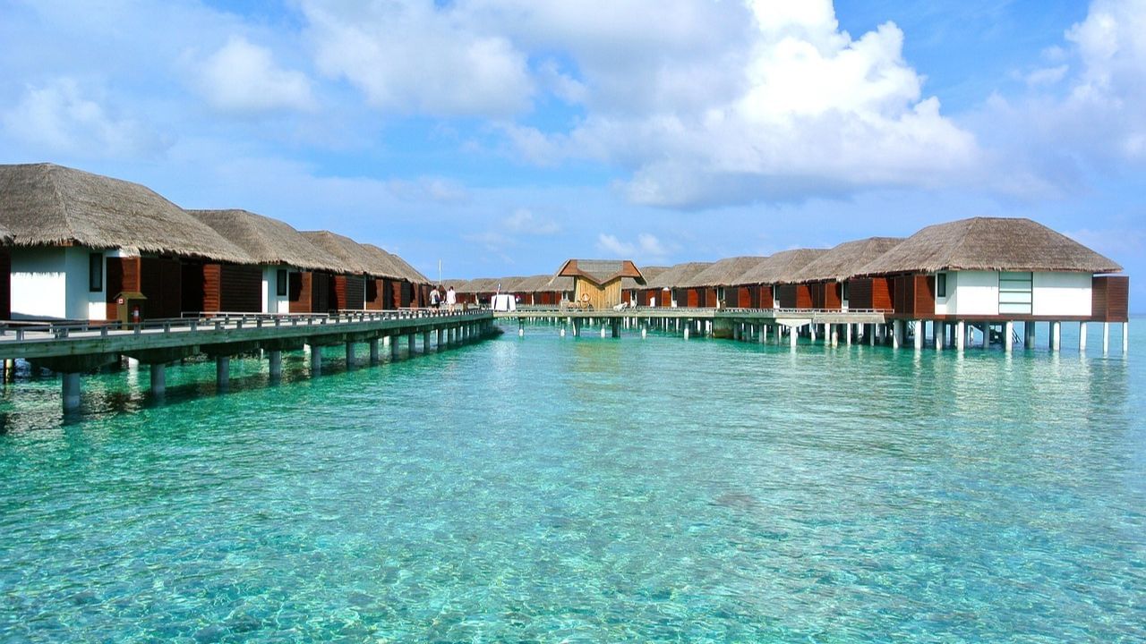 Maldives: পেটে টান পড়তেই টনক নড়ল মলদ্বীপের, সেই ভারতের কাছেই চাইছে ‘ভিক্ষা’