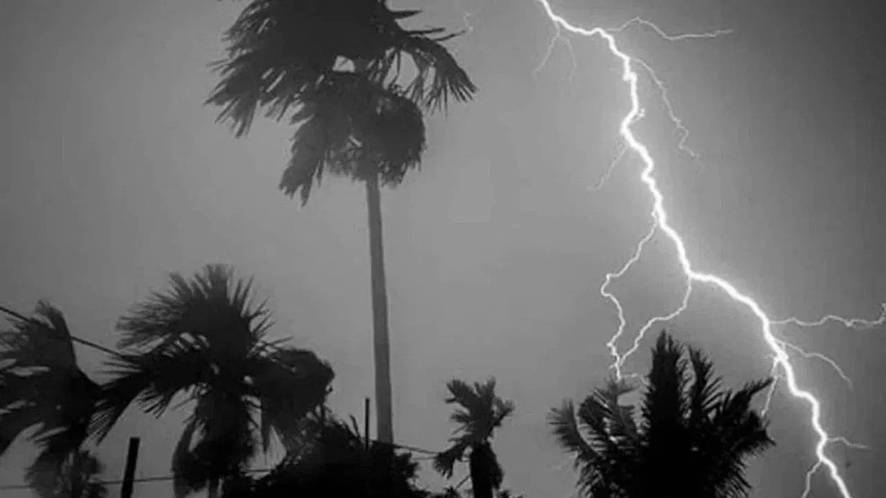 Kalbaishakhi Storm: চৈত্র-বৈশাখের কালবৈশাখী উধাও! কেন এমন হাওয়া-বদল?