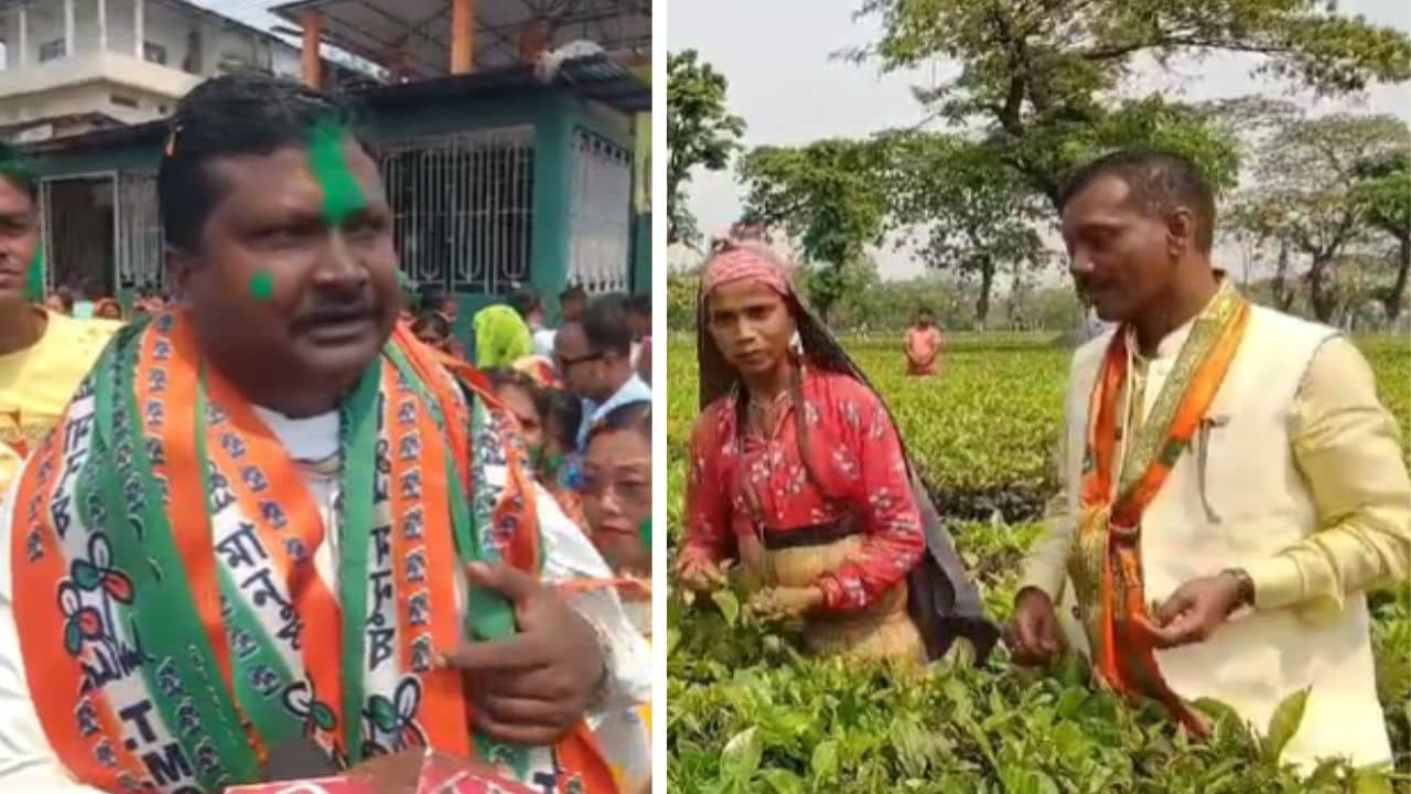 Alipurduar: চা-শ্রমিকদের মন পেতে তৃণমূল-বিজেপি প্রার্থীর জোর প্রচার