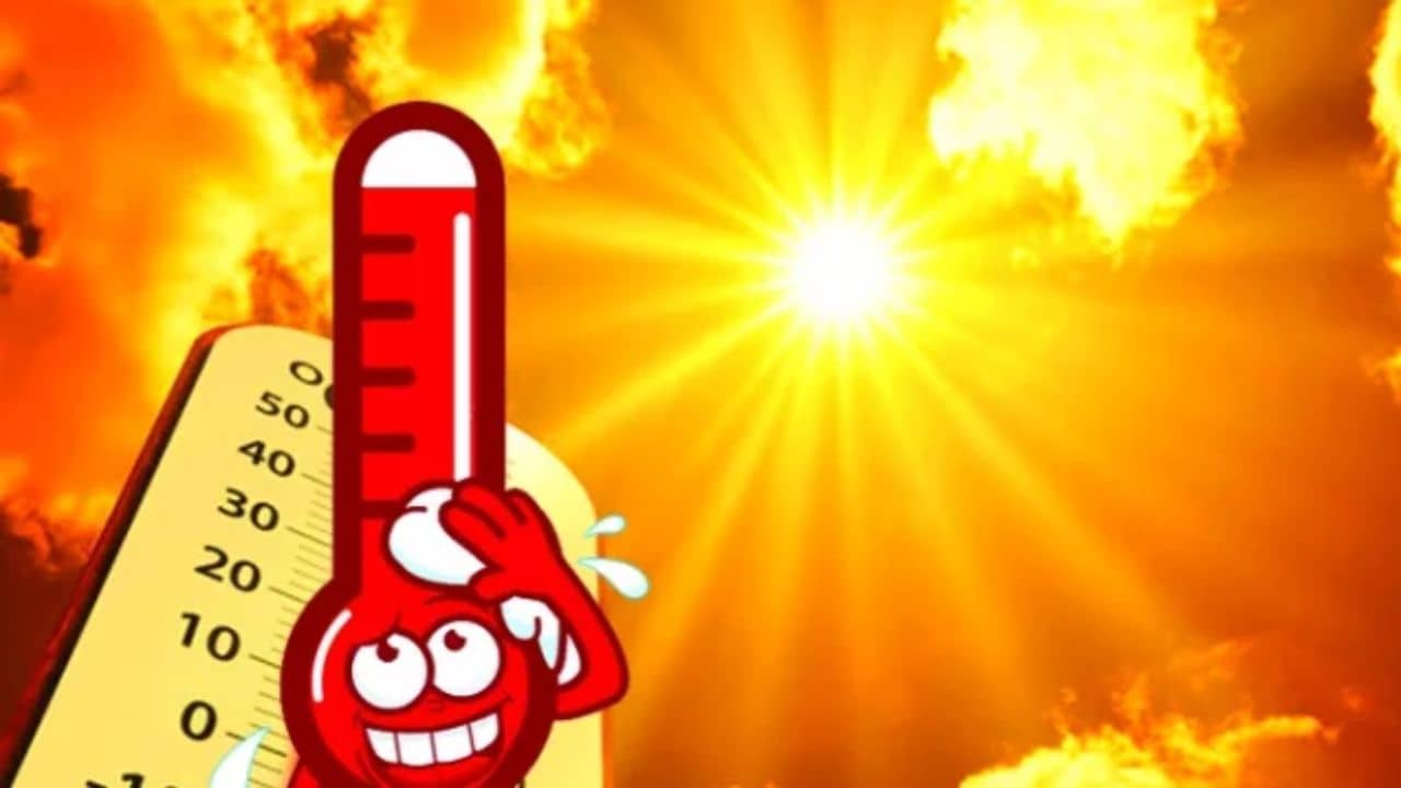 Weather Updates: ১৮ জেলায় তাপপ্রবাহ, জেলা ধরে ধরে লাল-হলুদ-কমলা সতর্কতা হাওয়া অফিসের