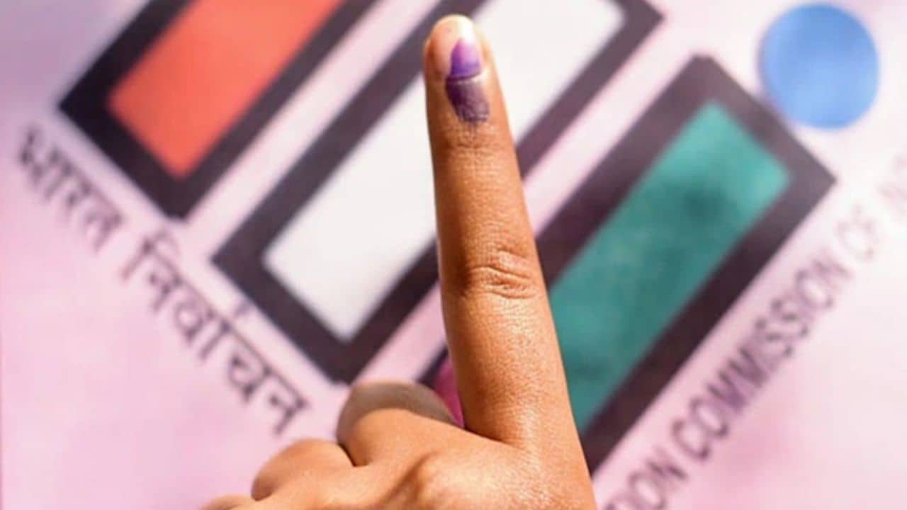 Election: জার্মানি থেকে সাত সকালে হাজির যুবক, বললেন, ভোট মিস করা যাবে না