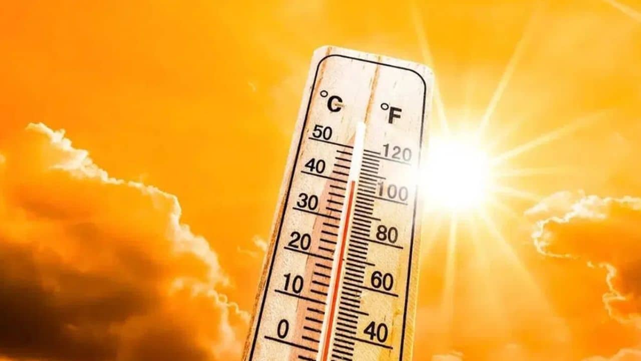 Weather: মেঘ দেখে খুশি হওয়ার কোনও কারণ নেই, জেলায় জেলায় তাপপ্রবাহের পরিস্থিতি