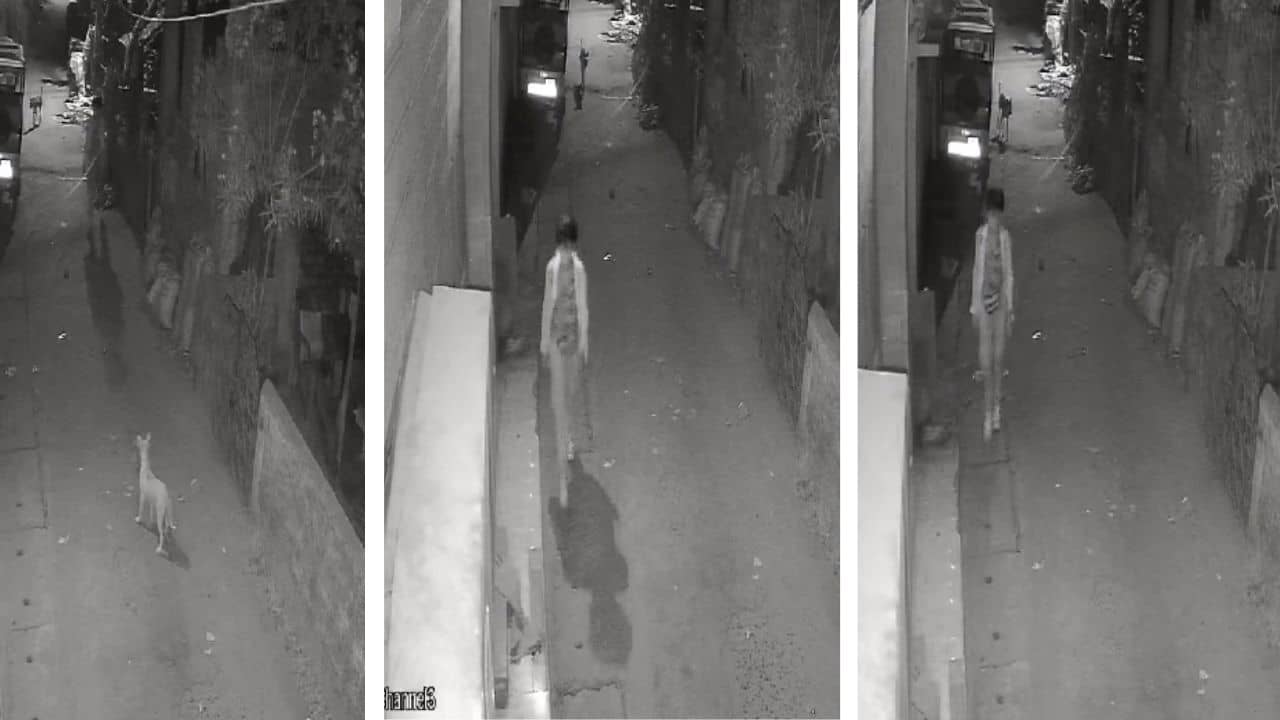 Maldah: বন্ধ ঘরে চলত তন্ত্র সাধনা, শুনশান রাতে একা মেয়েটাকে দেখে কিছু ঘটার আভাস পেয়েছিল রাস্তার কুকুরও! হাড়হিম ঘটনা মালদহে