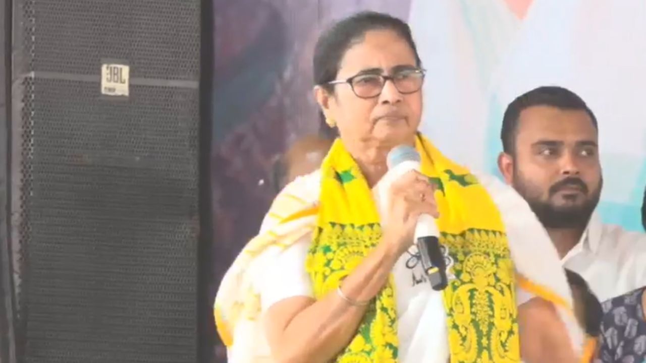CM Mamata Banerjee on Abhishek Banerjee: ‘অভিষেকের একটা মিটিংয়ে যাওয়ার কথা ছিল, বাবুরা সেখানেও চলে গিয়েছে…’