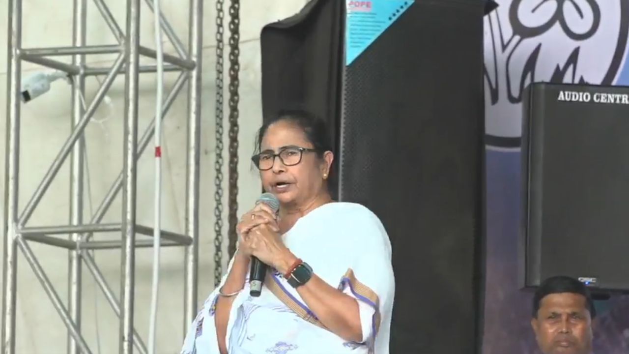 Mamata Banerjee: 'অভিষেককেও তো খুন করতে চেয়েছিলি, আমরা ধরে ফেললাম', মুখ্যমন্ত্রীর কাঠগড়ায় কে?
